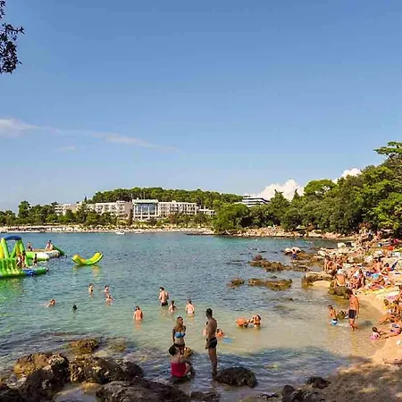 Cozy Danica With Terrace Apartment *