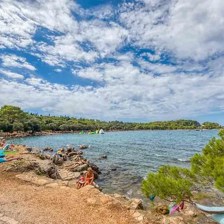 Apartment Cozy Danica With Terrace