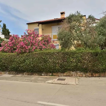 Cozy Danica With Terrace Apartment *